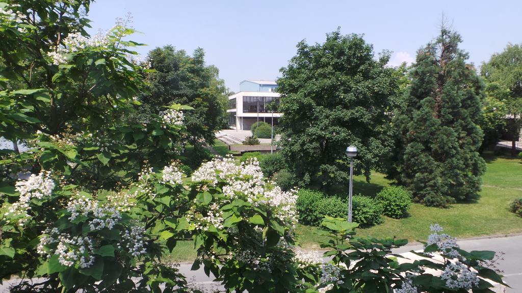 סלאבונסקי ברוד Hostel Levicki חדר תמונה